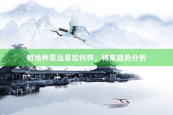 租地种菜远景如何样，将来趋势分析